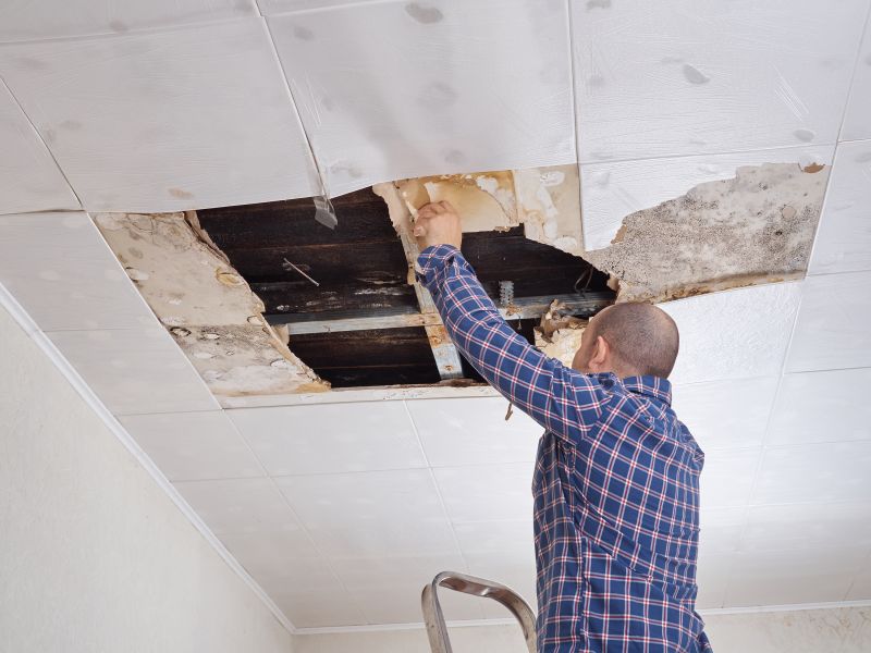 Ceiling And Drywall Repair