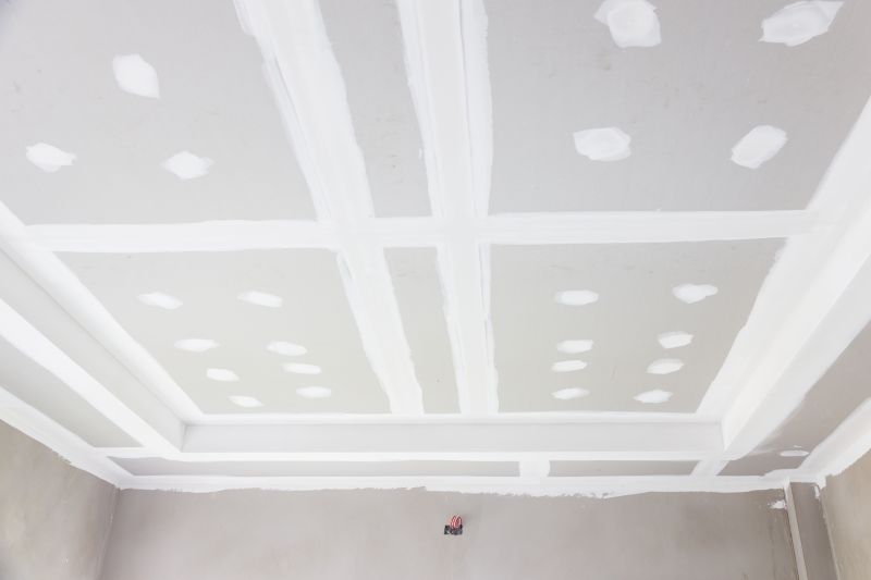 Ceiling And Drywall Repair