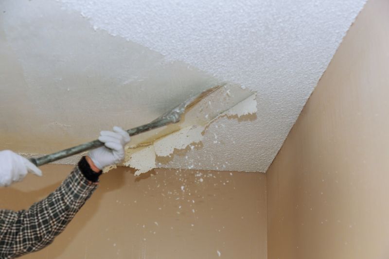 Ceiling Restoration Professionals